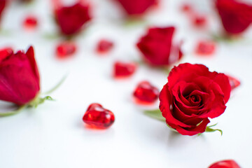 Fototapeta na wymiar bouquet of roses