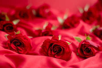 red rose petals