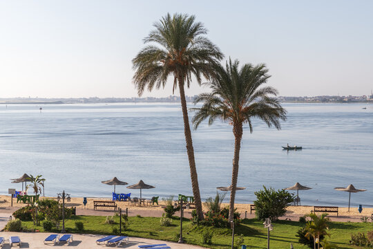 Palm trees grow on the beach at Lake Timsah, one of the Bitter Lakes