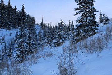 Yukon Territory, Canada