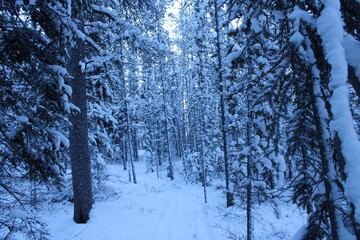 Yukon Territory, Canada