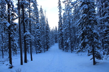 Yukon Territory, Canada