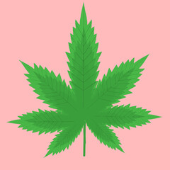 Green Marijuana leaf. Vector illustration