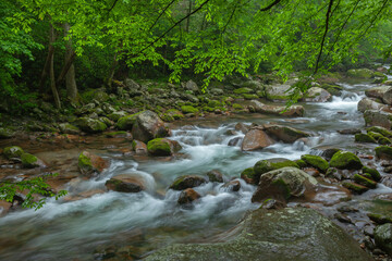 Naklejka na ściany i meble Spring landscape of Big Creek captured with motion blur, Great Smoky Mountains National Park, Tennessee, USA