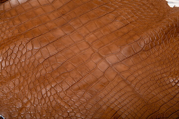 brown dyed alligator natural leather - material for handbags and shoes	
