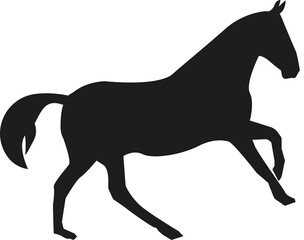 Wild horse vector illustration. Animal signs and symbols.