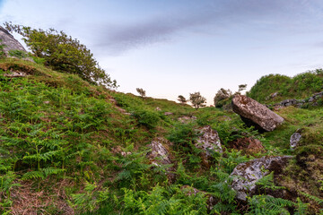 Fototapete bei efototapeten.de bestellen   