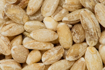 Pearl barley background or texture. Macro, top view      