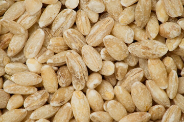 Pearl barley background or texture. Macro, top view      