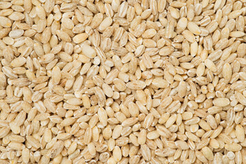 Pearl barley background or texture. Close up, top view   