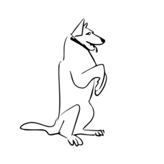 Smart dog sketch. Dog training. An obedient dog on a white background