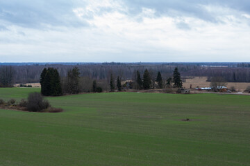 Obraz premium agricultural land in early spring
