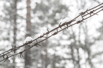 Barbed wire in the snow close-up. Abstraction, selective focus
