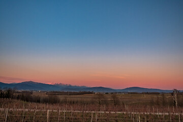 Obraz premium Winter sunset in the vineyards of Collio Friulano