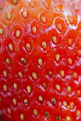 juicy red fresh strawberry background