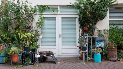 Green plants in front of a house hold in Amsterdam
