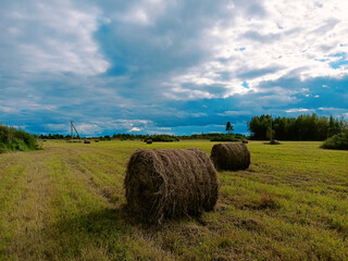 field with haystacks - 479199184