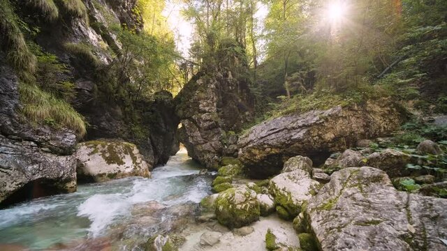 Beautiful River Floating Between Squeezed Gorge Surrounded With Green Moss on Stones and rocks, beautiful Forest. Beautiful sunrise. Veliki Predaselj, Kamniska Bistrica, Slovenia. 