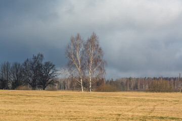 agricultural land in early spring