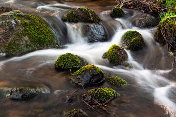Fototapeta premium A small forest river with stones
