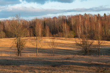 agricultural land in early spring