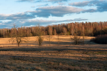 agricultural land in early spring