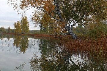 Sunrise in the morning fog on the reservoir. Beautiful autumn nature. Angler's morning. Unique image of the environment.