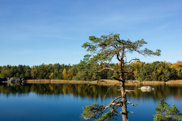 Quiet bay with forest in autumn colors and reflections in the water
