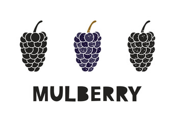 Mulberry, silhouette icons set with lettering. Imitation of stamp, print with scuffs. Simple black shape and color vector illustration. Hand drawn isolated elements on white background
