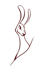 Outline drawing of a forest hare, vector