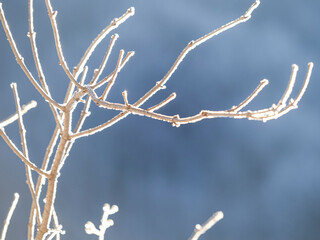 Winter landscape 