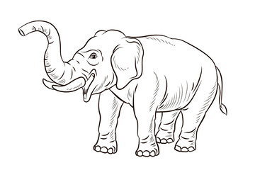 Animals. Black and white image of a large elephant, coloring book for children.