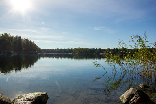 Clear water and reflections of forest, reeds, rocks and sunbeams in the quiet bay