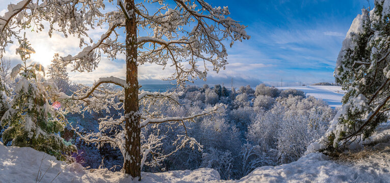Winter im Taunus mit Panoramablick