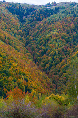 Autumn landscape in the mountains