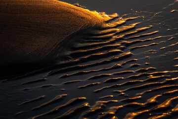 beach sand in sunset light