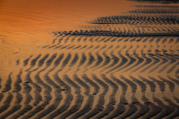 beach sand in sunset light