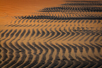 Baltic Sea rocks and beach sand at sunset