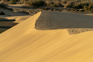 Dune in Gran Canaria formed by the wind