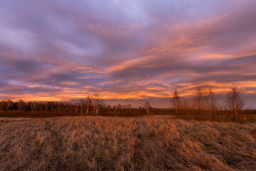 Beautiful sunrise in summer