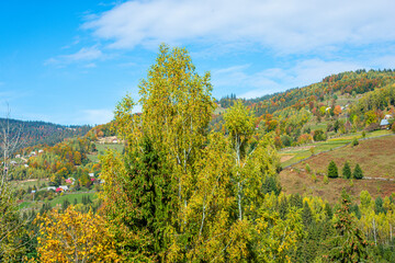 Autumn landscape in the Apuseni Mountains, Romania