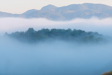 Obraz na płótnie Canvas Autumn morning fog landscape