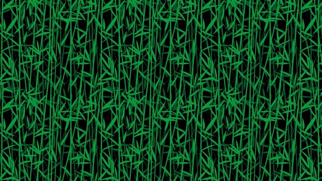 Looping bamboo forest over black