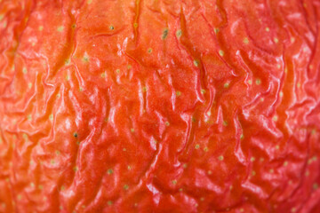 Aging process. The shriveled peel of an apple.