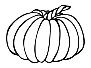 Vector hand drawn illustration of pumpkin. Isolated object on white background. Vegetable harvest clip art. Farm market product. Elements for autumn design, decoration.