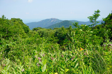 Shenandoah National Park view of Old Rag Mountain from near Skyline Drive. Old Rag Mountain is a...