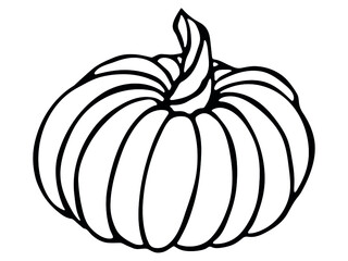 Vector hand drawn illustration of pumpkin. Isolated object on white background. Vegetable harvest clip art. Farm market product. Elements for autumn design, decoration.