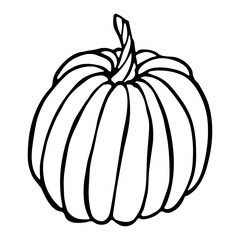 Vector hand drawn illustration of pumpkin. Isolated object on white background. Vegetable harvest clip art. Farm market product. Elements for autumn design, decoration.