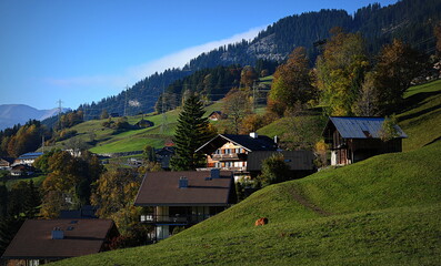 Obraz premium suisse alpine en automne
