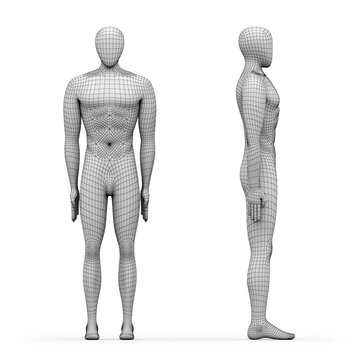 Three-dimensional models of human body isolated on white background. 3D illustration.